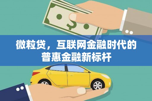 泰顺微粒贷，互联网金融时代的普惠金融新标杆