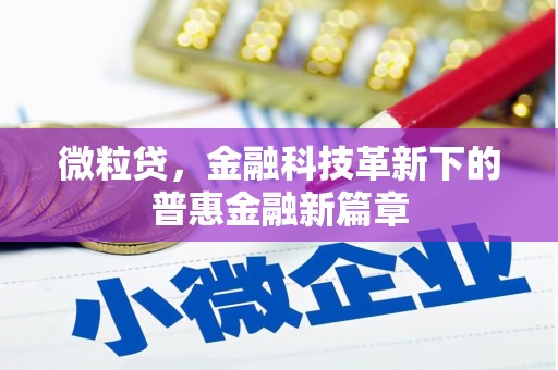 泰顺微粒贷，金融科技革新下的普惠金融新篇章