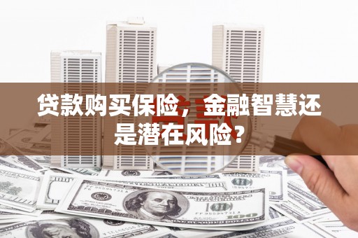 泰顺贷款购买保险，金融智慧还是潜在风险？
