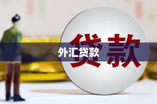泰顺外汇贷款