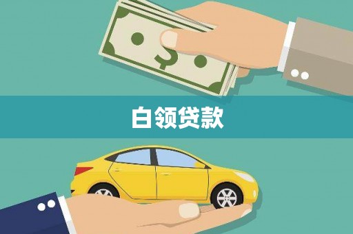 泰顺白领贷款