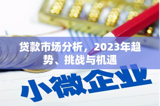 泰顺贷款市场分析，2023年趋势、挑战与机遇