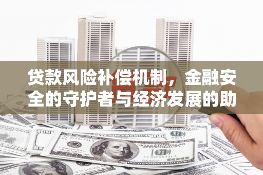 泰顺贷款风险补偿机制，金融安全的守护者与经济发展的助推器