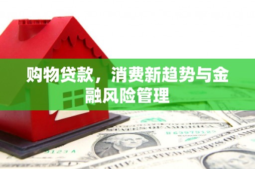 泰顺购物贷款，消费新趋势与金融风险管理
