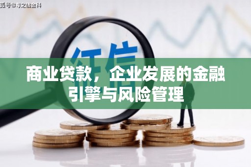 泰顺商业贷款，企业发展的金融引擎与风险管理