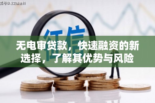 泰顺无电审贷款，快速融资的新选择，了解其优势与风险