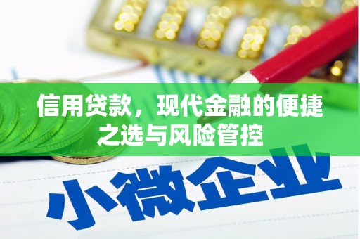 泰顺信用贷款，现代金融的便捷之选与风险管控