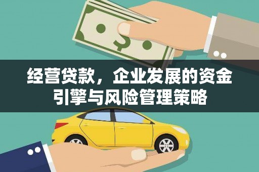 泰顺经营贷款，企业发展的资金引擎与风险管理策略