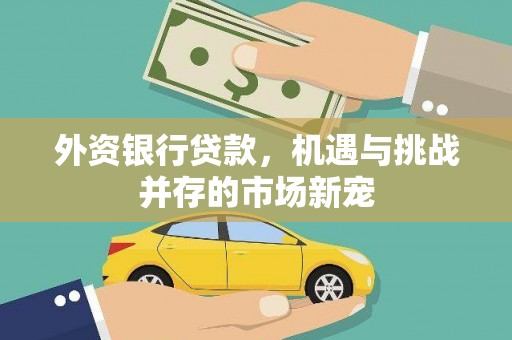 泰顺外资银行贷款，机遇与挑战并存的市场新宠