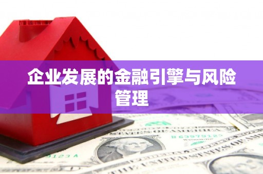 泰顺企业发展的金融引擎与风险管理