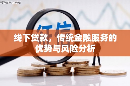 泰顺线下贷款，传统金融服务的优势与风险分析