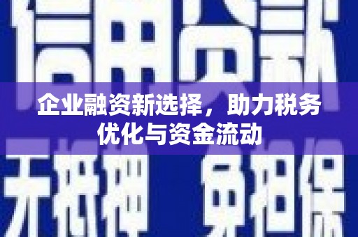 泰顺企业融资新选择，助力税务优化与资金流动