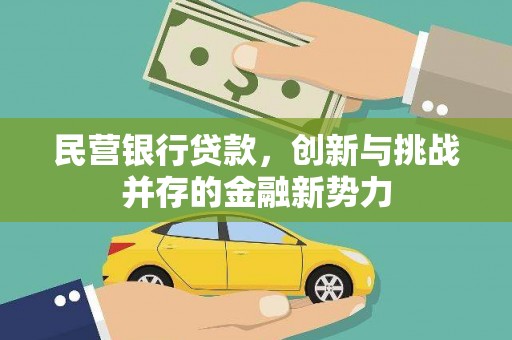 泰顺民营银行贷款，创新与挑战并存的金融新势力