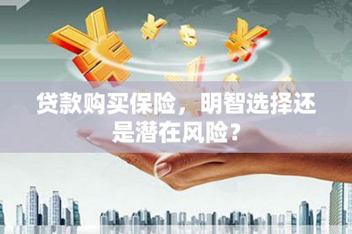 泰顺贷款购买保险，明智选择还是潜在风险？