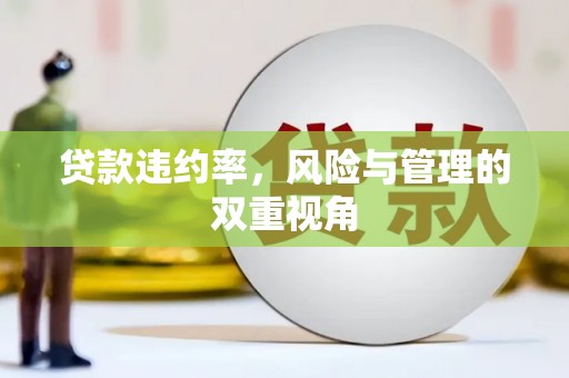 泰顺贷款违约率，风险与管理的双重视角