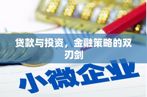 泰顺贷款与投资，金融策略的双刃剑