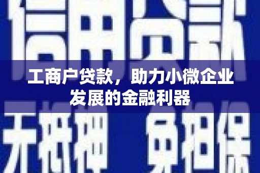 泰顺工商户贷款，助力小微企业发展的金融利器