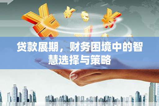 泰顺贷款展期，财务困境中的智慧选择与策略