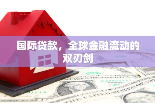 泰顺国际贷款，全球金融流动的双刃剑
