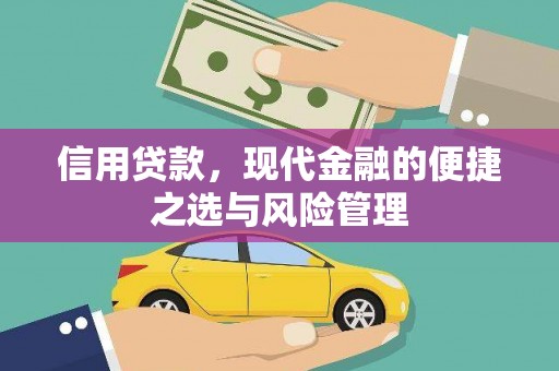 泰顺信用贷款，现代金融的便捷之选与风险管理