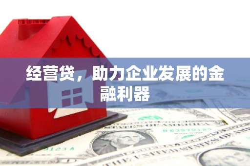 泰顺经营贷，助力企业发展的金融利器
