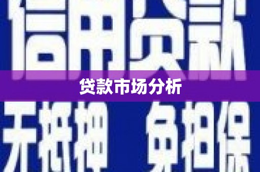 泰顺贷款市场分析