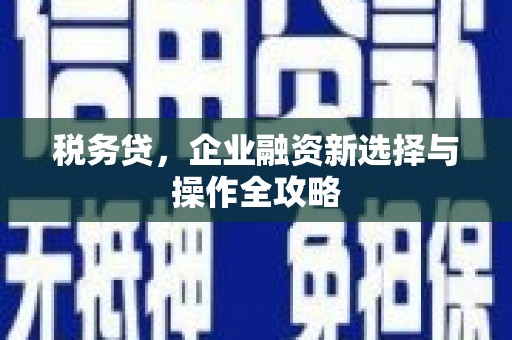 泰顺税务贷，企业融资新选择与操作全攻略