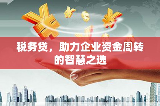 泰顺税务贷，助力企业资金周转的智慧之选