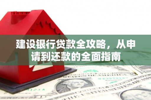 泰顺建设银行贷款全攻略，从申请到还款的全面指南