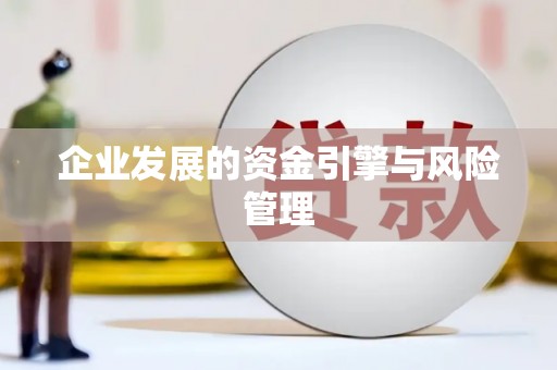泰顺企业发展的资金引擎与风险管理