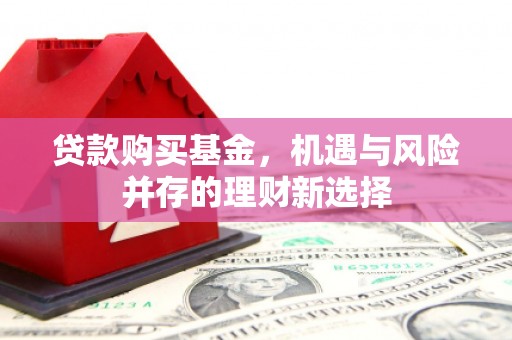 泰顺贷款购买基金，机遇与风险并存的理财新选择