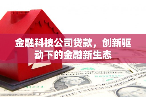 泰顺金融科技公司贷款，创新驱动下的金融新生态