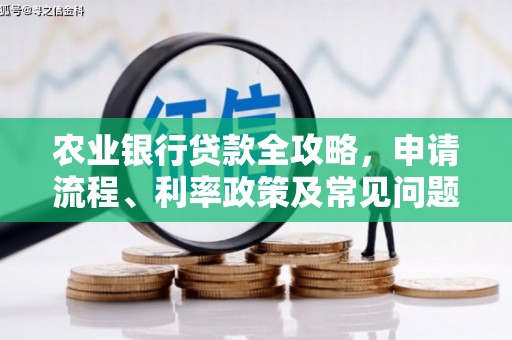 泰顺农业银行贷款全攻略，申请流程、利率政策及常见问题解析