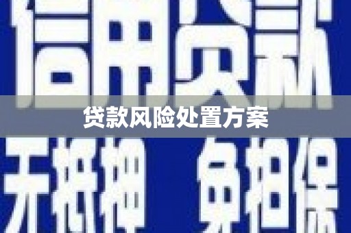 泰顺贷款风险处置方案