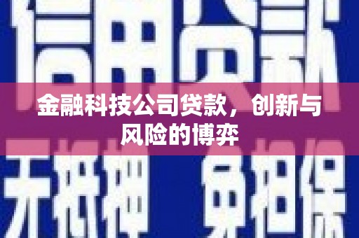 泰顺金融科技公司贷款，创新与风险的博弈