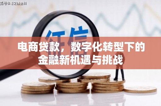 泰顺电商贷款，数字化转型下的金融新机遇与挑战