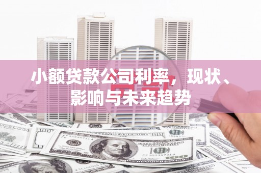 泰顺小额贷款公司利率，现状、影响与未来趋势