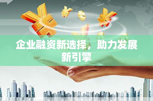 泰顺企业融资新选择，助力发展新引擎