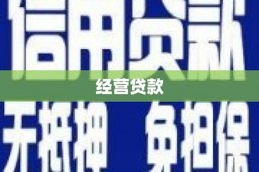 泰顺经营贷款