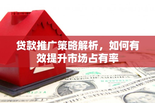 泰顺贷款推广策略解析，如何有效提升市场占有率