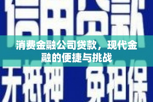 泰顺消费金融公司贷款，现代金融的便捷与挑战