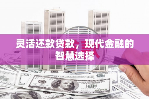 泰顺灵活还款贷款，现代金融的智慧选择