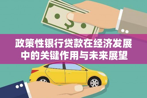 泰顺政策性银行贷款在经济发展中的关键作用与未来展望