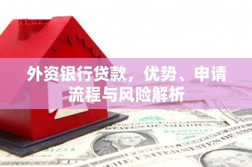 泰顺外资银行贷款，优势、申请流程与风险解析