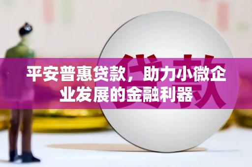 泰顺平安普惠贷款，助力小微企业发展的金融利器