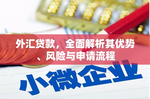 泰顺外汇贷款，全面解析其优势、风险与申请流程