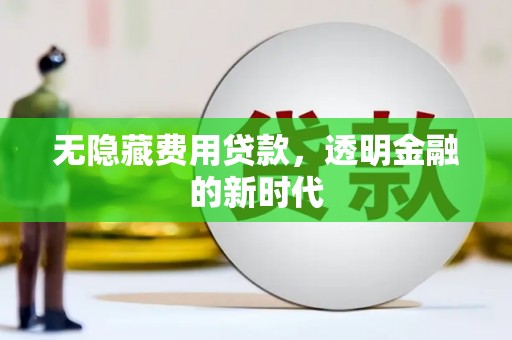 泰顺无隐藏费用贷款，透明金融的新时代