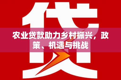 泰顺农业贷款助力乡村振兴，政策、机遇与挑战