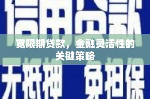 泰顺宽限期贷款，金融灵活性的关键策略