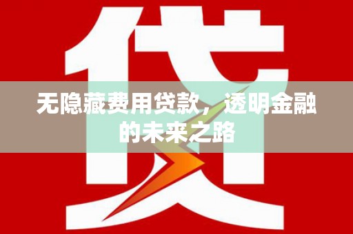 泰顺无隐藏费用贷款，透明金融的未来之路